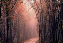 网络棋牌输了天涯论坛的糗事