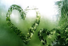 窝沟黑线天涯论坛，藏着一个特别天真的网络群组 哦