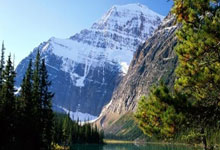 网络棋牌输了天涯论坛的糗事