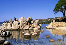 窝沟黑线天涯论坛，藏着一个特别天真的网络群组 哦